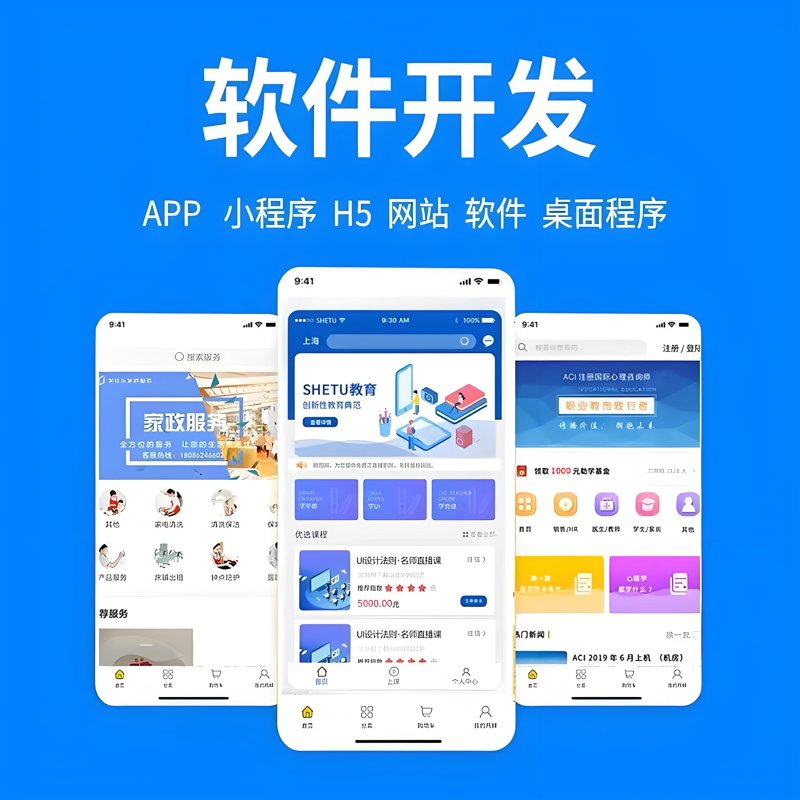 软件定制开发：构建未来企业的新引擎