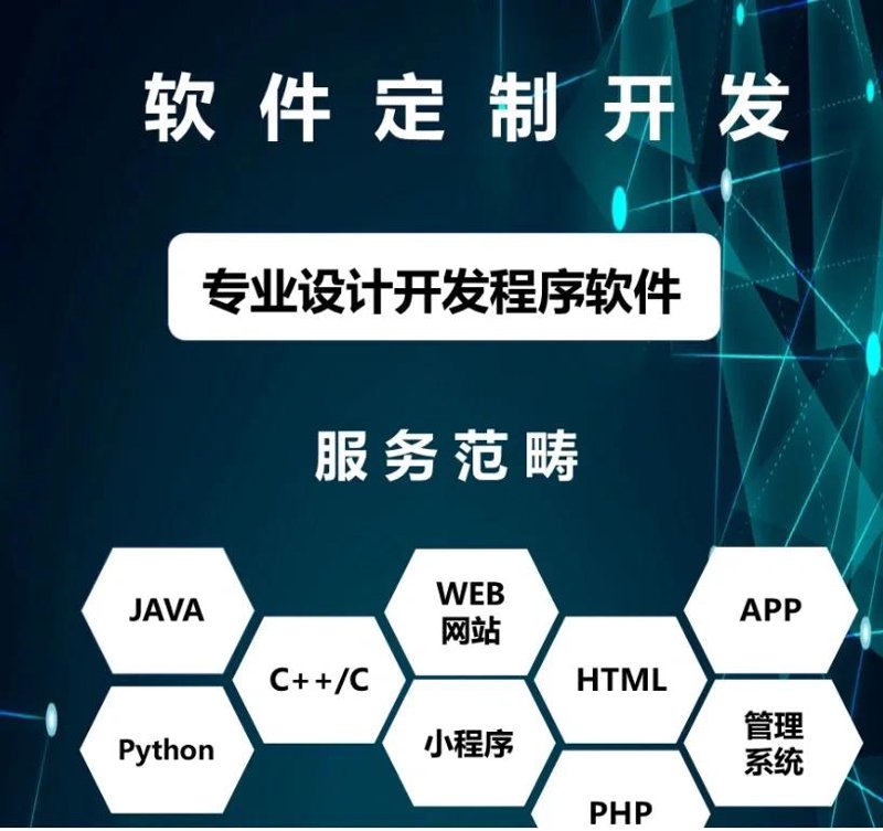 软件定制开发选购指南:解锁企业高效运营的秘密武器